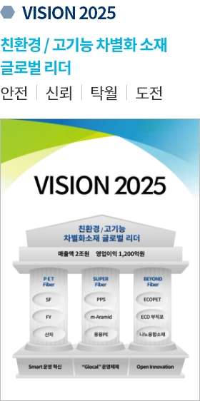 vision 2025 친환경 / 고기능 차별화 소재 글로벌 리더 안전, 신뢰, 탁월, 도전
